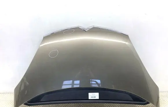Engine bonnet/hood