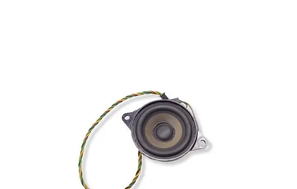 BMW X5 E53 Panel speaker 8379375 65138379375