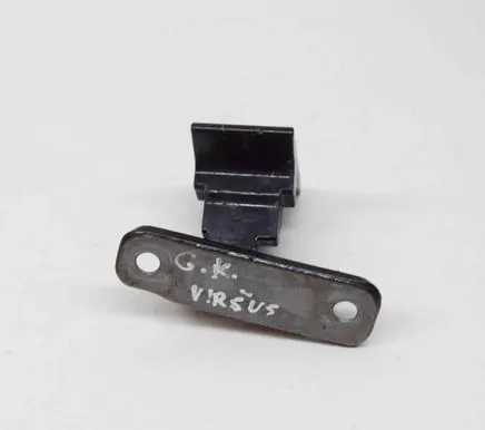 Rear door lower hinge