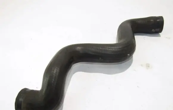 Mercedes-Benz C W202 Engine coolant pipe/hose 2025015282