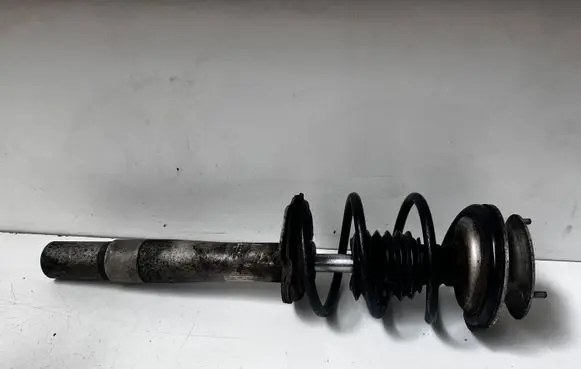 BMW 7 E65 E66 Front shock absorber with coil spring 31316775055 10541315