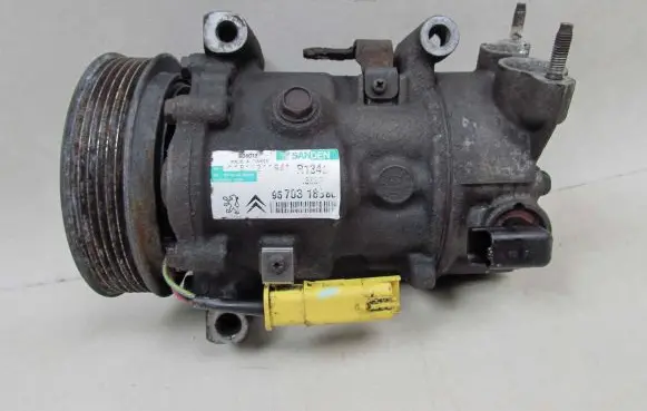 Citroen Berlingo Air conditioning (A/C) compressor (pump) 9670318880 1363F 44026