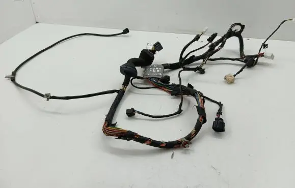 KIA Sportage Front door wiring loom 919711F010