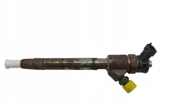 Citroen C3 Fuel injector 0445110955