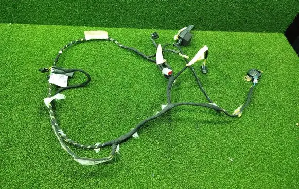 Other wiring loom