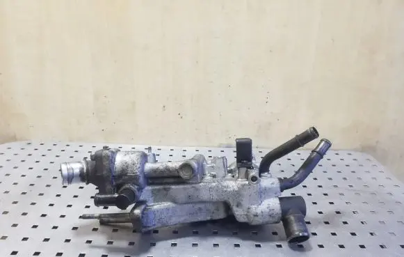 Thermostat/thermostat housing