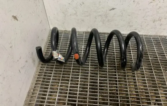 Ford Mustang VI Rear coil spring JR3C5560BC