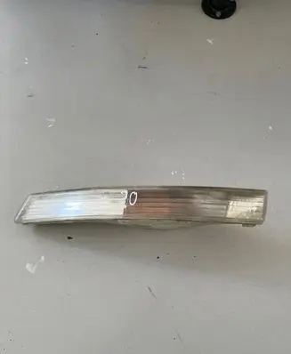 Volkswagen PASSAT B6 Front indicator light 300953041L