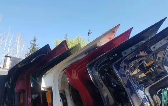 Tailgate/trunk/boot lid
