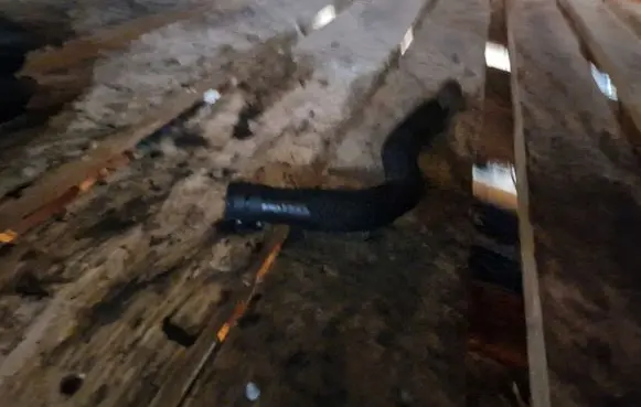 Skoda Superb B8 (3V) Engine coolant pipe/hose