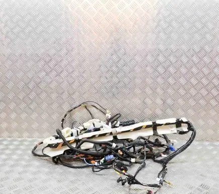 Tesla Model Y Other wiring loom 206795406D