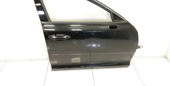 KIA Stinger Front door