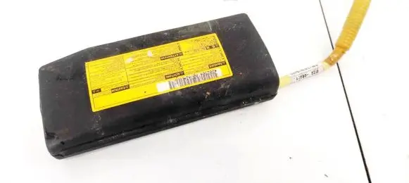 Lexus RX 300 Seat airbag 7391348010 73913-48010