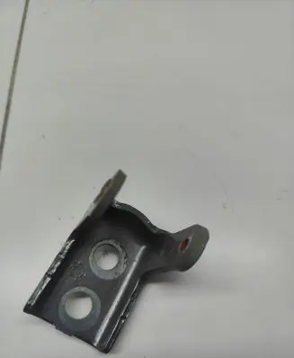 Rear door lower hinge