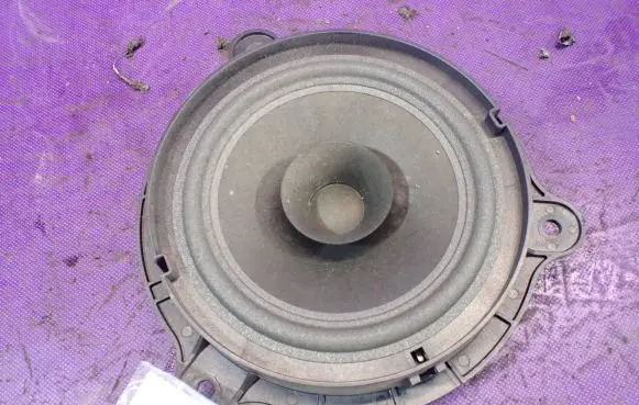 Renault Koleos I Front door speaker 28156JY00A