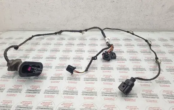 Seat Exeo (3R) Rear door wiring loom 3R0971687