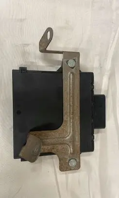 Porsche Cayenne (92A) Engine control unit/module 7PP959663E 111001912