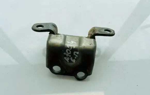 Rear door lower hinge
