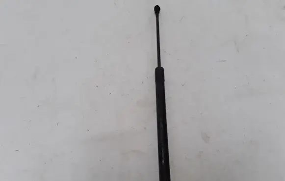 Renault Scenic III - Grand scenic III Tailgate strut 904500004R