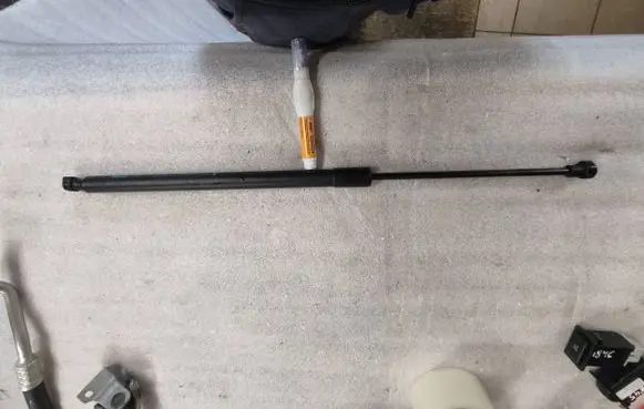 Tailgate strut