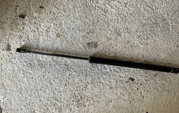Tailgate strut
