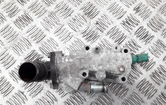 Thermostat/thermostat housing