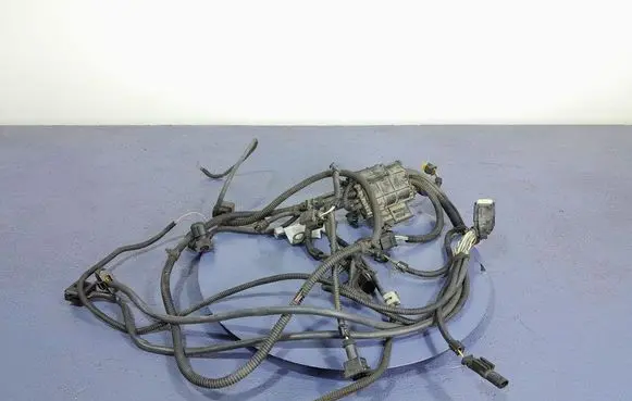Other wiring loom