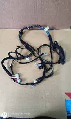 Hyundai Kona I Front door 91601J9031