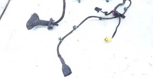Front door wiring loom