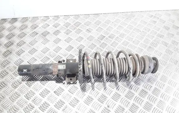 Skoda Fabia Mk2 (5J) Front shock absorber with coil spring 6Q0413031BJ