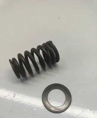 Dodge RAM Valve spring 68080909AB