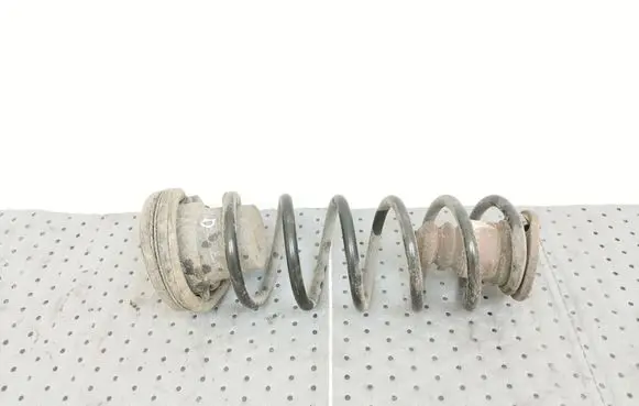 Rear coil spring