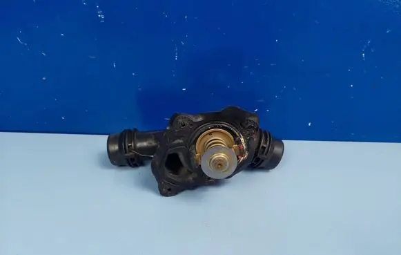 Thermostat/thermostat housing