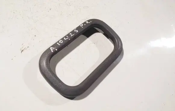 Other front door trim element