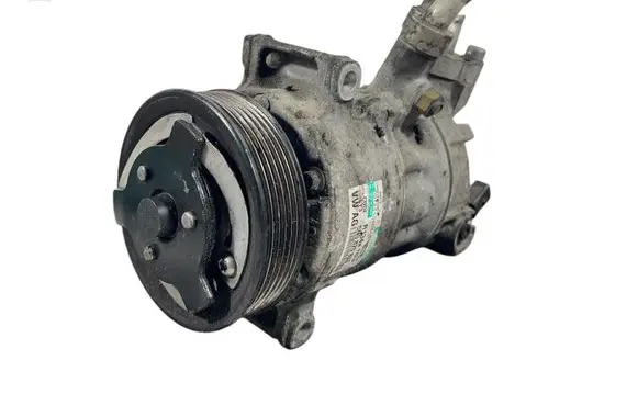 Skoda Octavia Mk2 (1Z) Air conditioning (A/C) compressor (pump) 5N0820803 007234060B4 R134A1701P