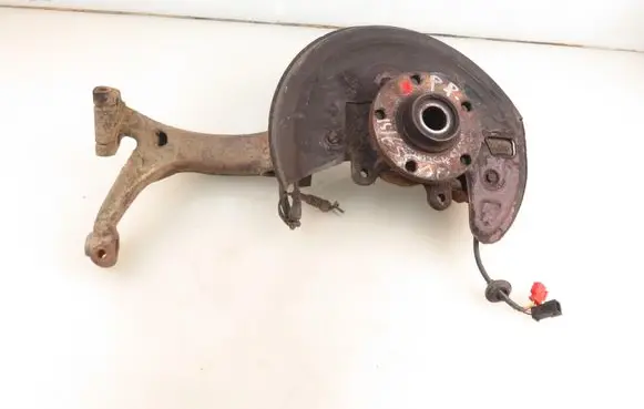 Volkswagen PASSAT B5.5 Front wheel hub spindle knuckle