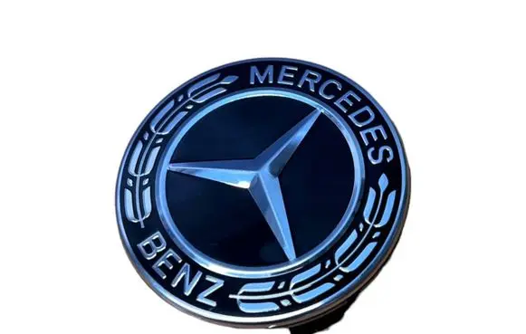 Mercedes-Benz E W213 Original wheel cap A2224002100