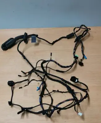 BMW 7 F01 F02 F03 F04 Rear door wiring loom 9197634 7011568