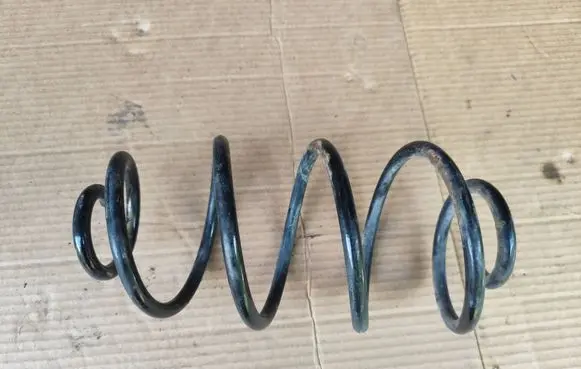 Rear coil spring