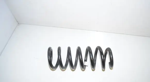 Rear coil spring