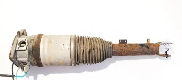 Volkswagen Phaeton Rear shock absorber/damper 3d0616002g4