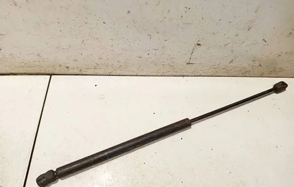 Tailgate/trunk strut/damper