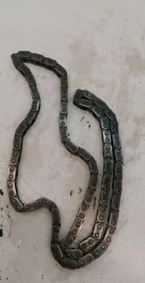 Ford Transit Timing chain (engine) 