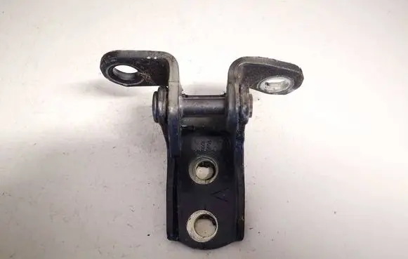 Rear door lower hinge