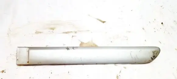 Rear door trim (molding)