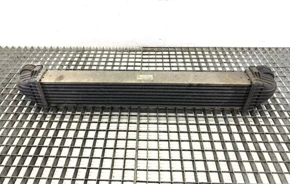 Mercedes-Benz B W245 Intercooler radiator A1695000000