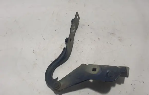 Renault Talisman Engine bonnet/hood hinges 654002504R