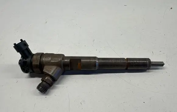 Renault Kangoo II Fuel injector 0445110485