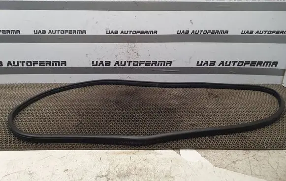 Mazda 3 II Front door rubber seal 