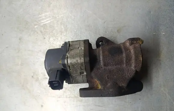 Nissan Primera EGR valve